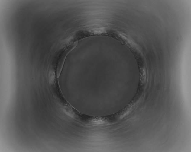 X0000110700704200906191527