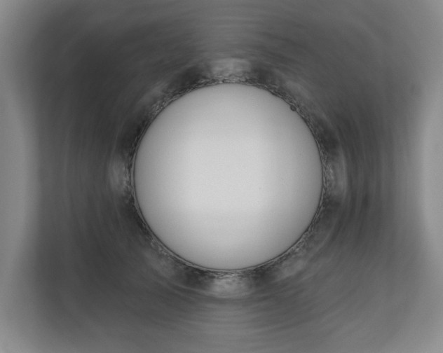 X0000110700705200906191527