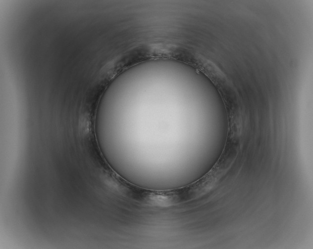 X0000110700706200906191527