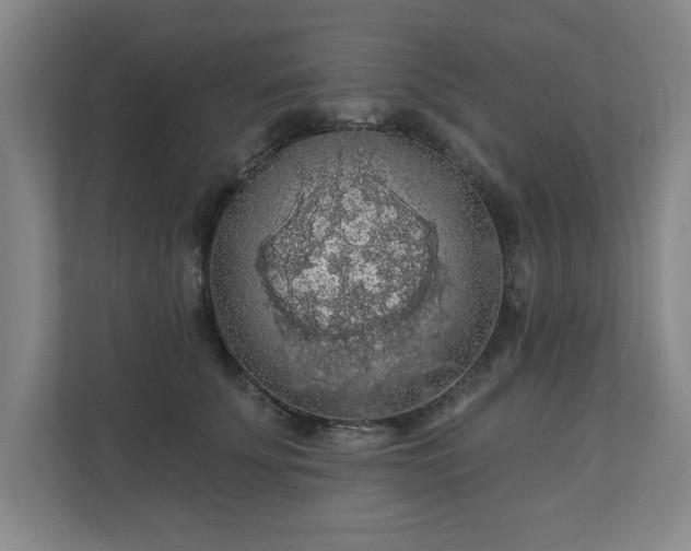X0000110700707200906191527