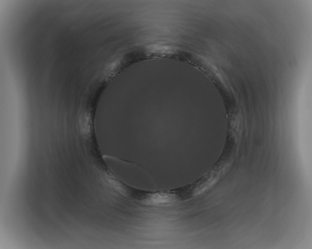 X0000110700708200906191527