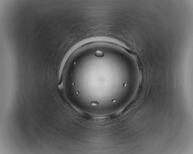 X0000110700709200906191527