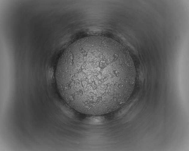 X0000110700711200906191527