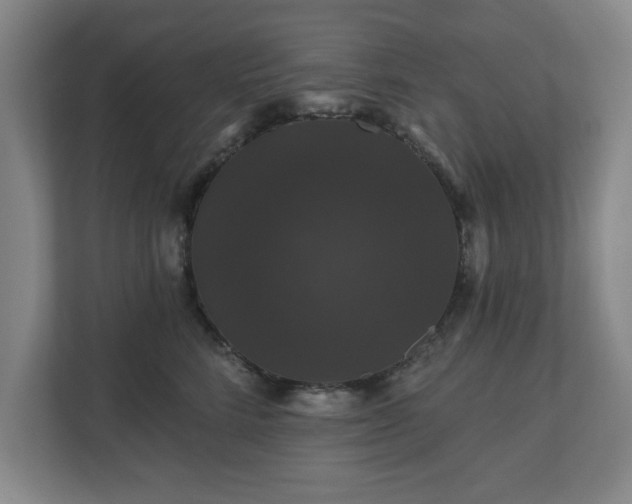 X0000110700712200906191527