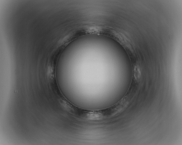 X0000110700714200906191527