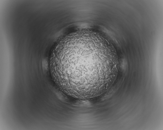 X0000110700715200906191527