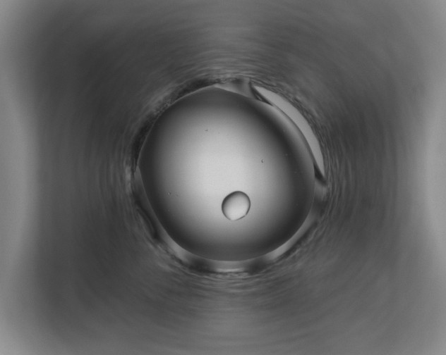 X0000110700716200906191527
