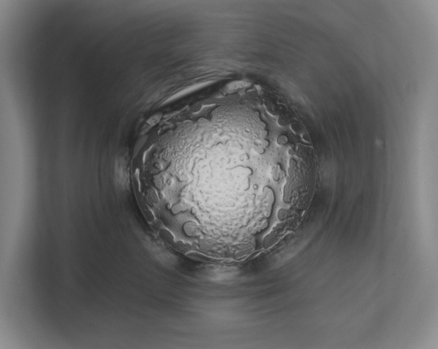 X0000110700719200906191527