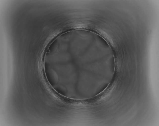 X0000110700721200906191527