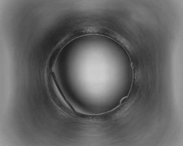 X0000110700722200906191527