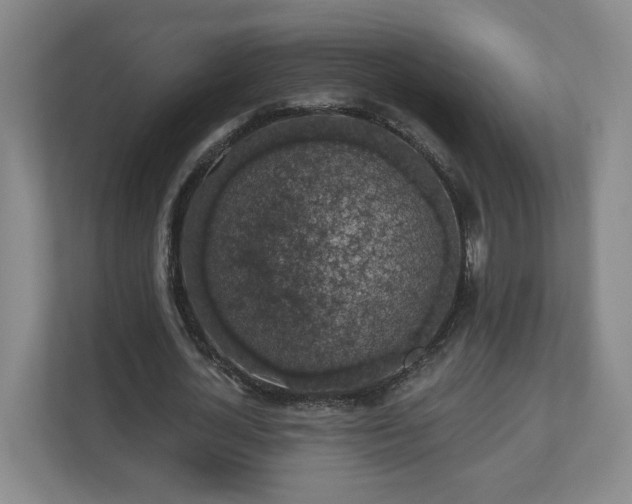 X0000110700724200906191527