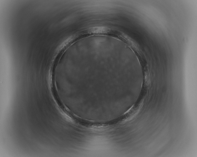 X0000110700725200906191527