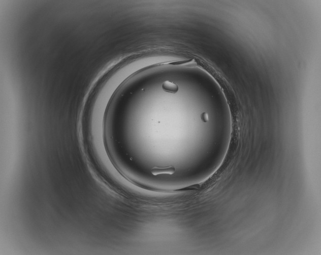 X0000110700726200906191527