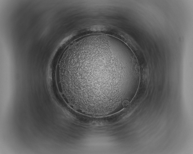 X0000110700727200906191527