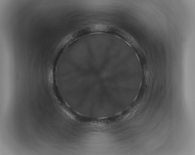 X0000110700729200906191527