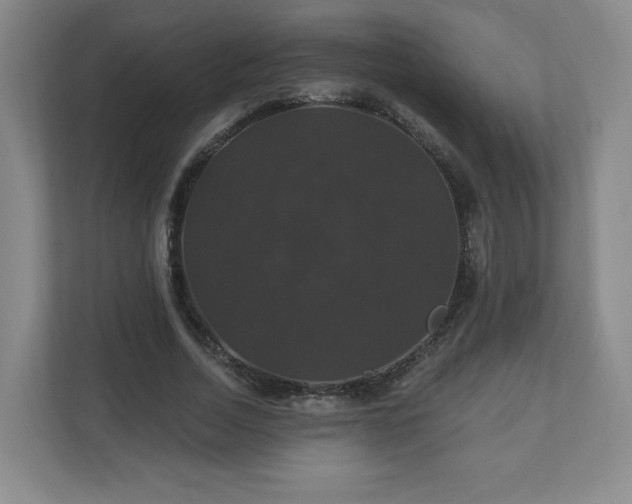 X0000110700730200906191527