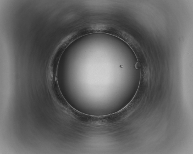 X0000110700731200906191527