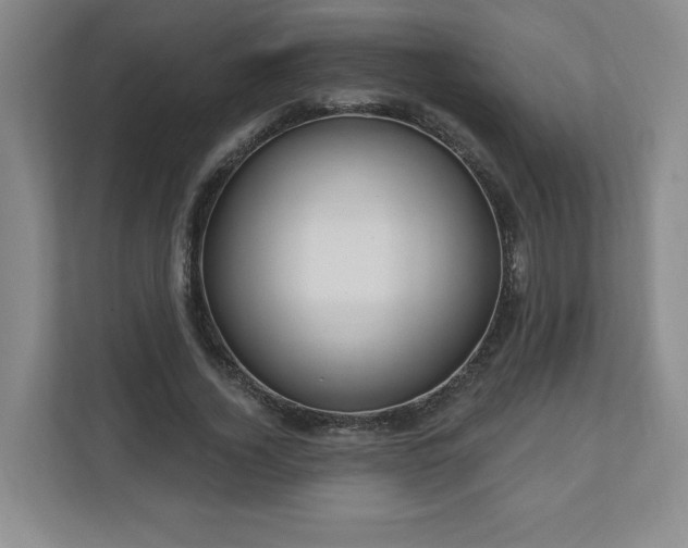 X0000110700732200906191527