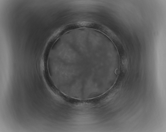 X0000110700734200906191527