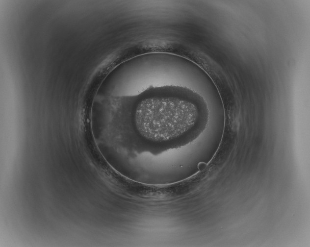 X0000110700735200906191527