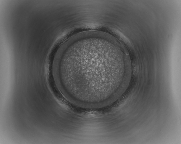 X0000110700736200906191527