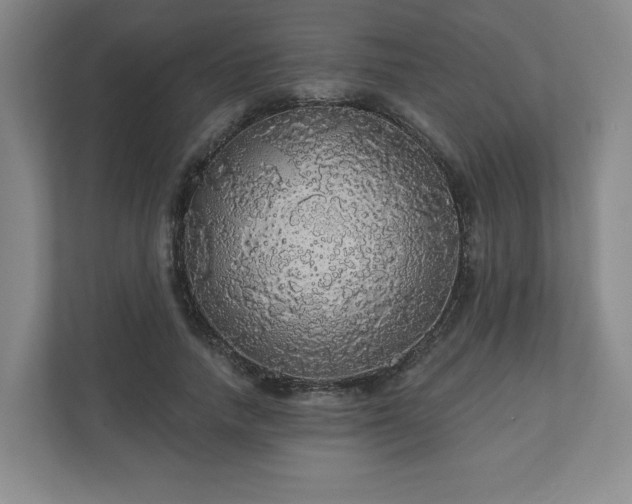 X0000110700738200906191527