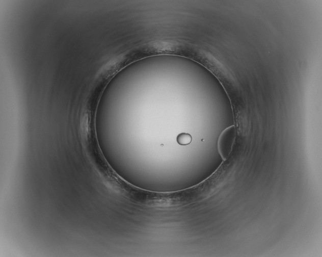 X0000110700740200906191527