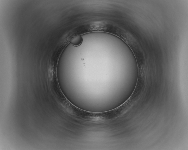 X0000110700741200906191527