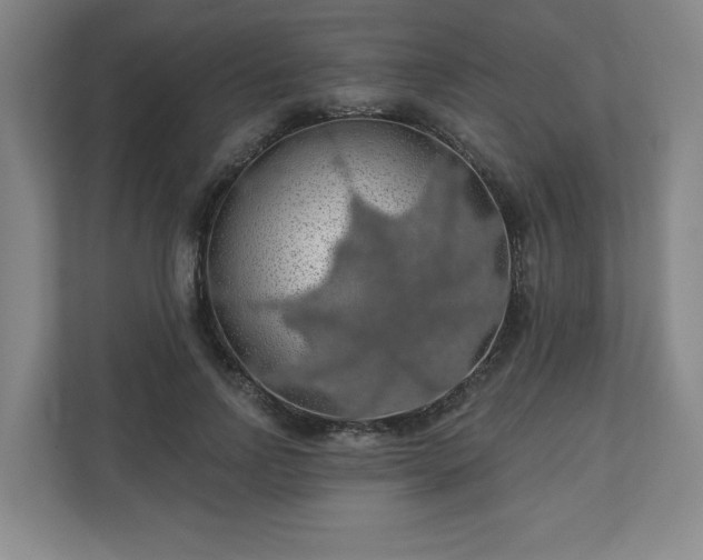 X0000110700742200906191527