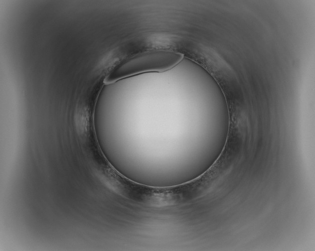 X0000110700744200906191527
