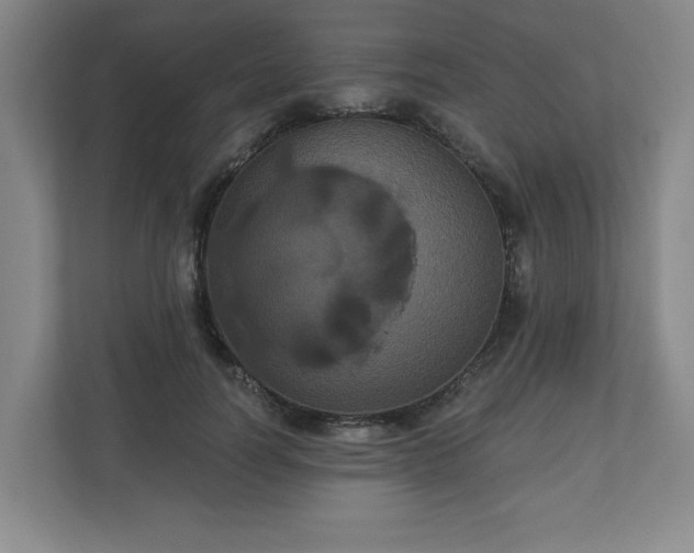 X0000110700746200906191527