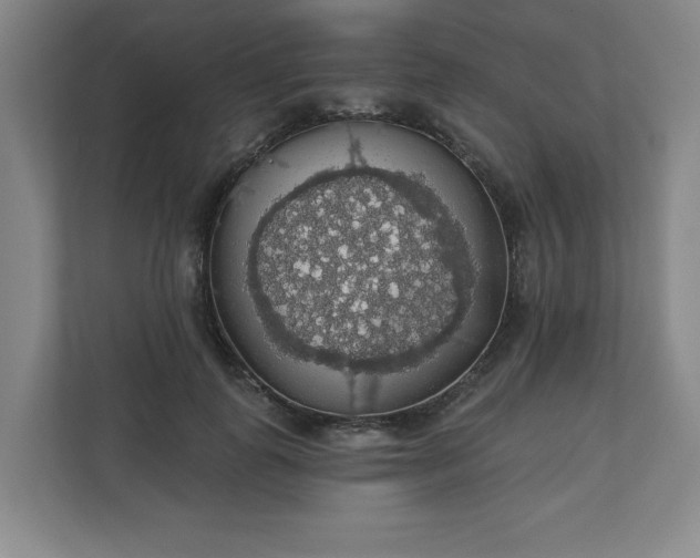X0000110700747200906191527