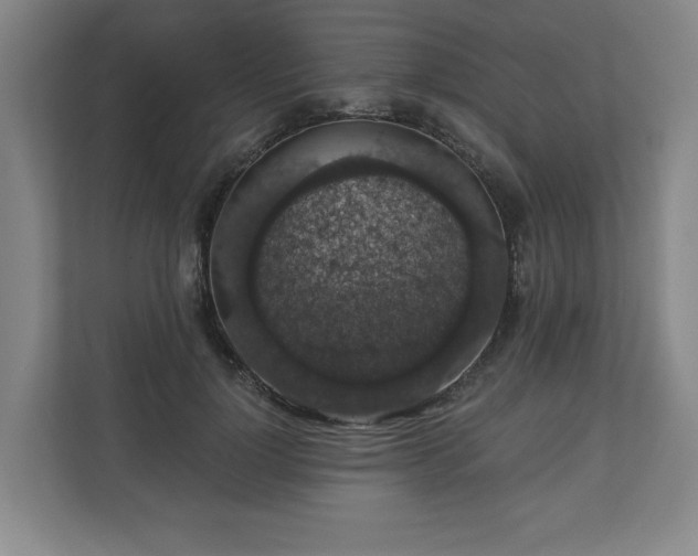 X0000110700748200906191527
