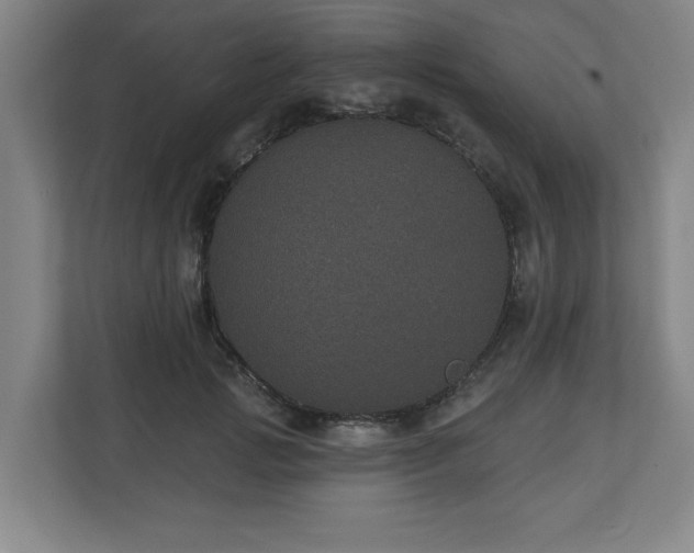 X0000110700749200906191527