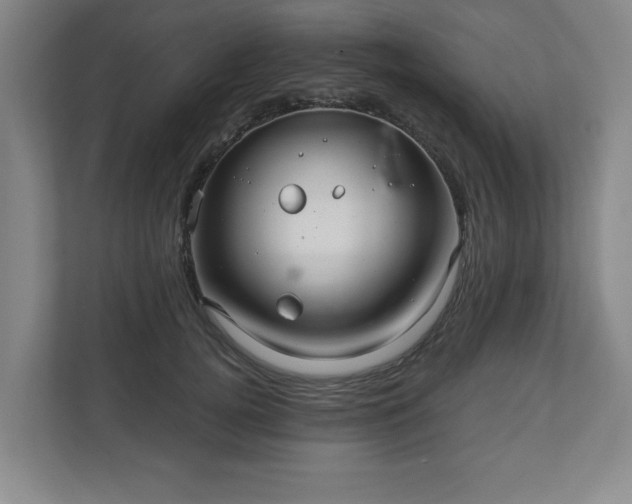 X0000110700752200906191527