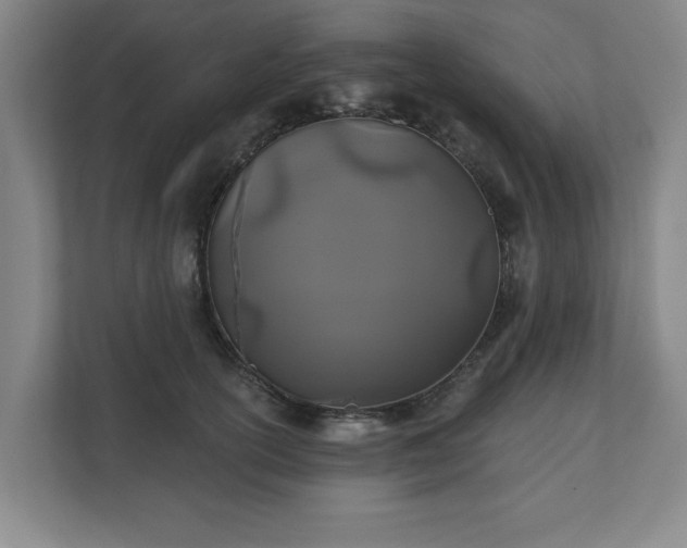 X0000110700754200906191527