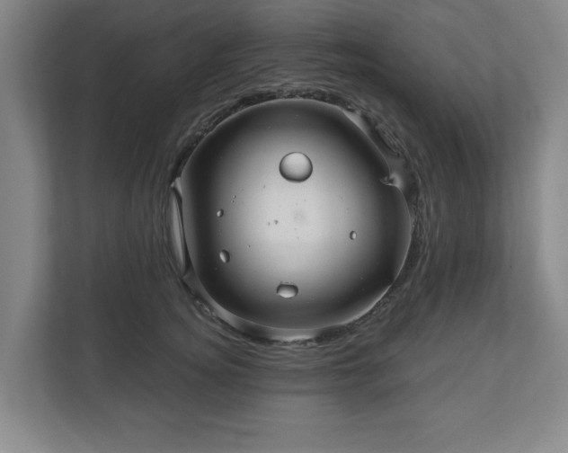 X0000110700756200906191527