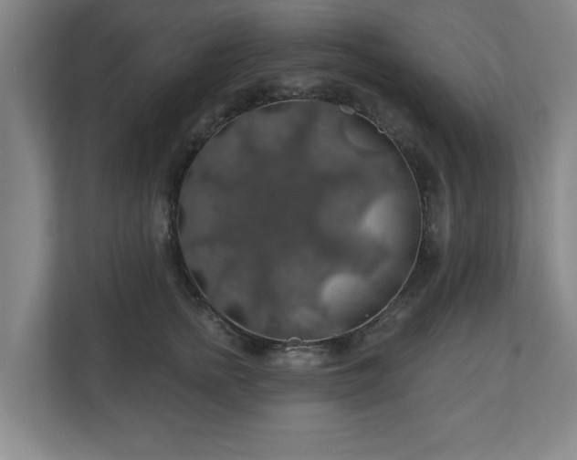 X0000110700758200906191527
