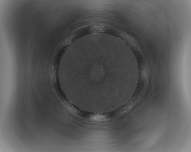 X0000110700759200906191527