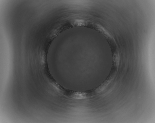 X0000110700760200906191527