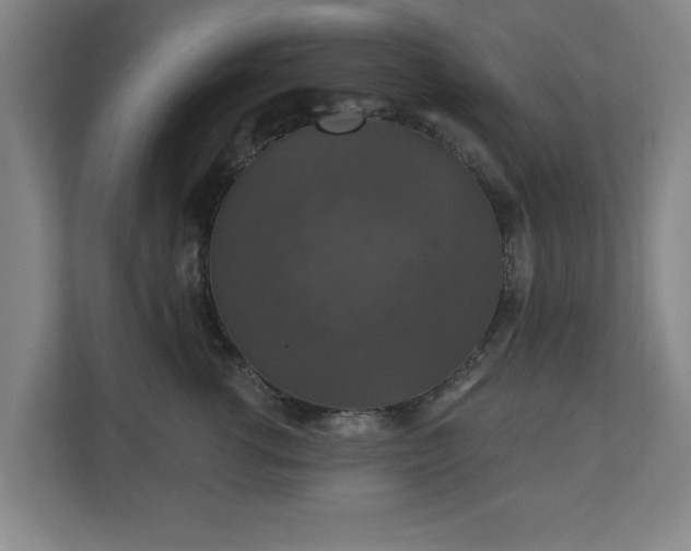 X0000110700762200906191527