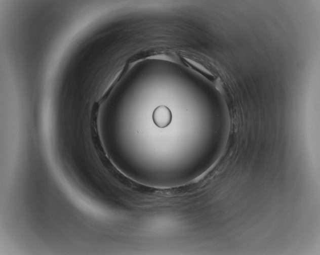 X0000110700764200906191527