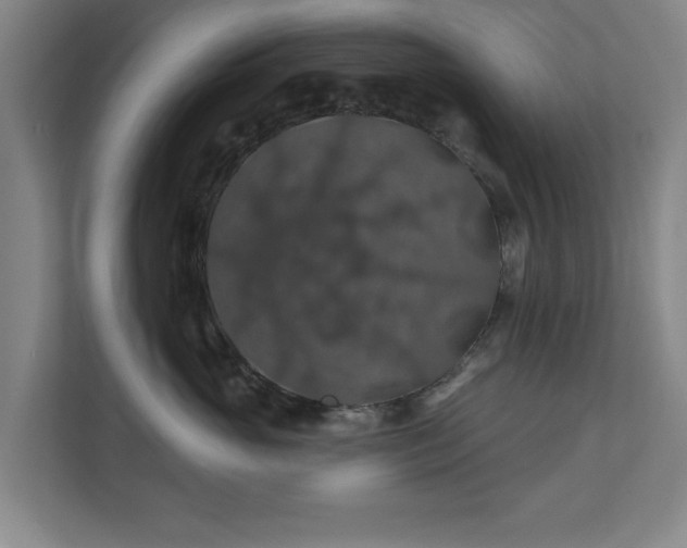 X0000110700765200906191527