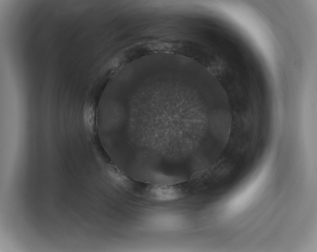 X0000110700767200906191527