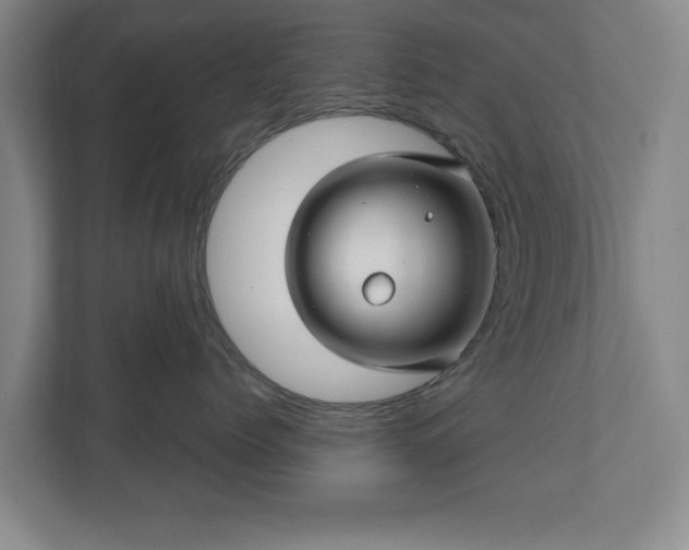 X0000110700768200906191527