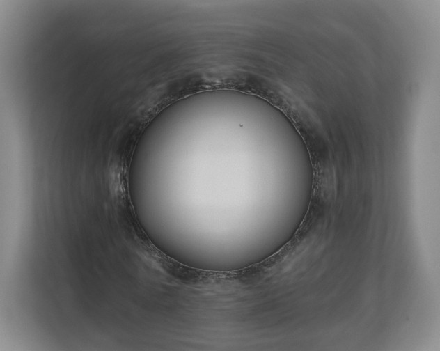 X0000110700770200906191527