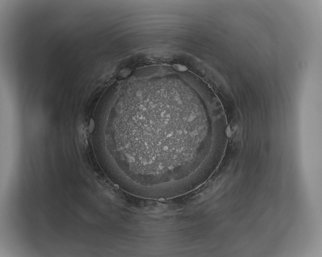 X0000110700772200906191527