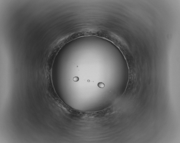 X0000110700773200906191527