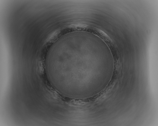 X0000110700774200906191527