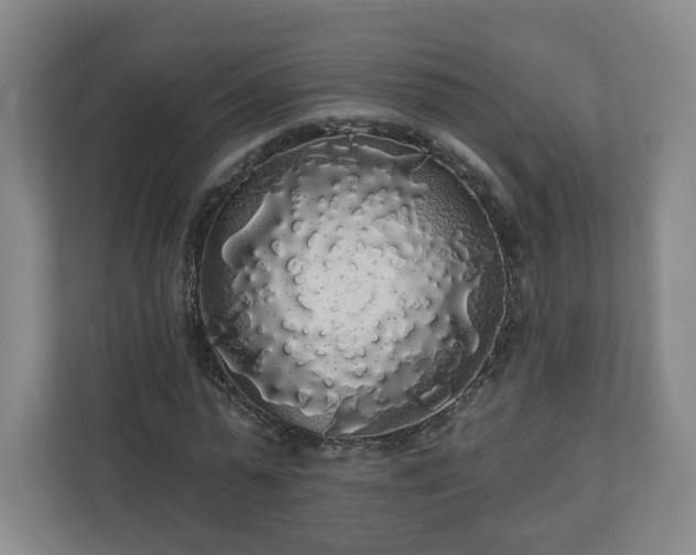 X0000110700775200906191527